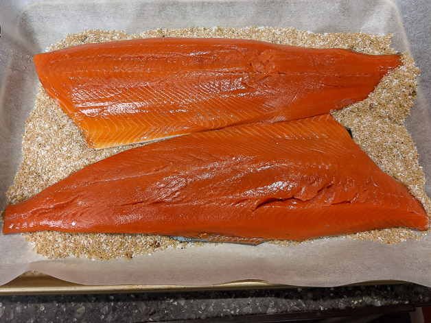 Salmon Filets